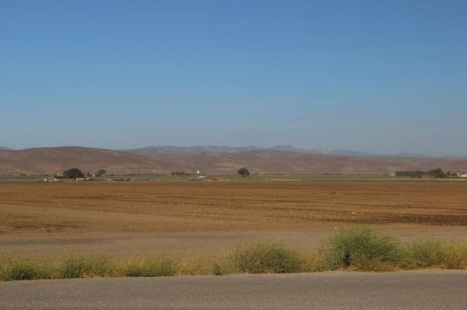 An open field with a travel plaza in the distance.